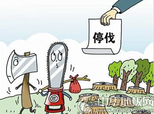 莫桑比克全面禁伐 红木板材价格将呈上涨趋势(图片来源于网络)