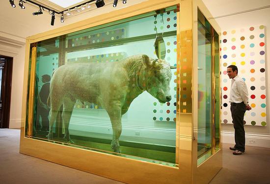 苏富比2008年拍卖会上,达明·赫斯特的《The Golden Calf》在《Beautiful Inside My Head Forever》前展出。图片:courtesy of Peter Macdiarmid Getty Images