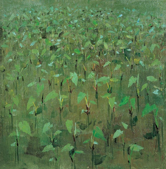 《绿苗圃》 油画 1976年作 
