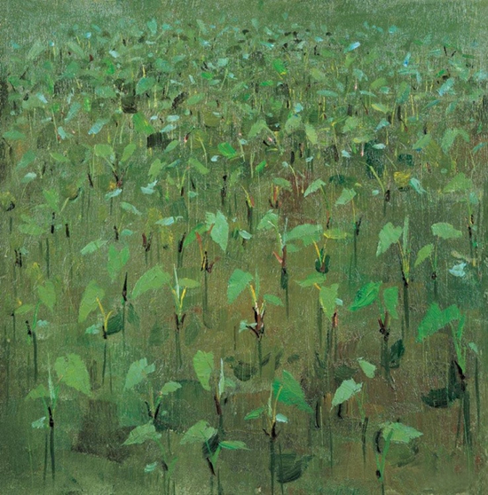 《绿苗圃》 油画 1976年作