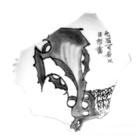 D5