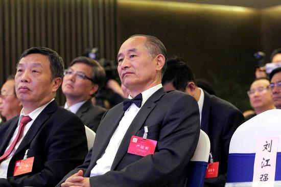 百家湖国际文化投资集团董事长严陆根在江苏发展大会现场