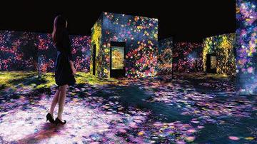 去看火炸天的teamLab前 你应该知道的事