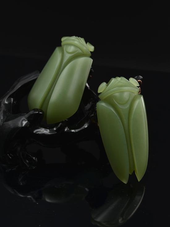 蝉