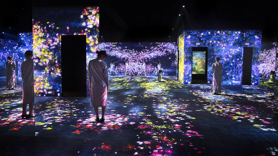 Flower Forest, Lost, Immersed and Reborn teamLab 2017 (installation view 01)