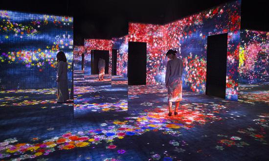 Flower Forest, Lost, Immersed and Reborn teamLab 2017 (installation view 04)