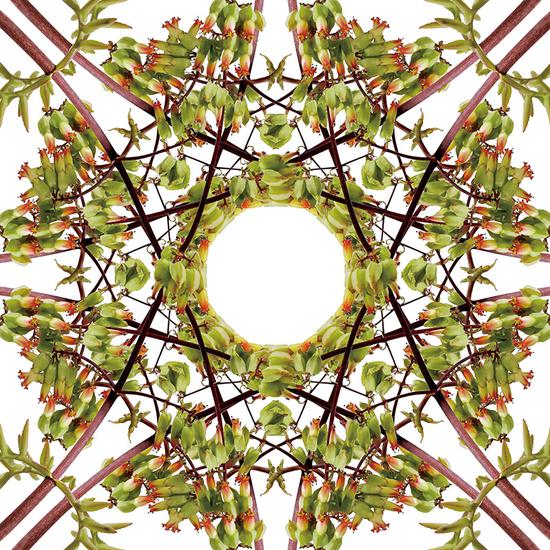 ͼƬ´ڴ򿪲鿴