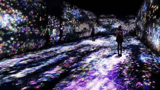 teamLab, “Flowers and People, Cannot be Controlled but Live Together”