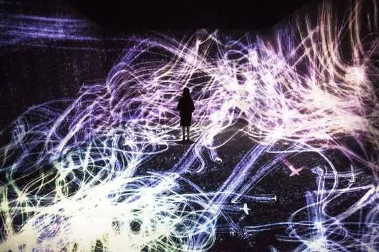 teamLab, Crows Transcending Space