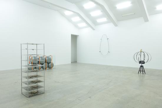 ����ʱ��ϵ����������չ�ֳ�