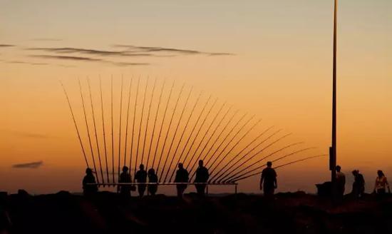 Geoff Webster， fishing rods， rod holders， Sculpture by the Sea， Cottesloe 2013。 Photo Anthony Tran