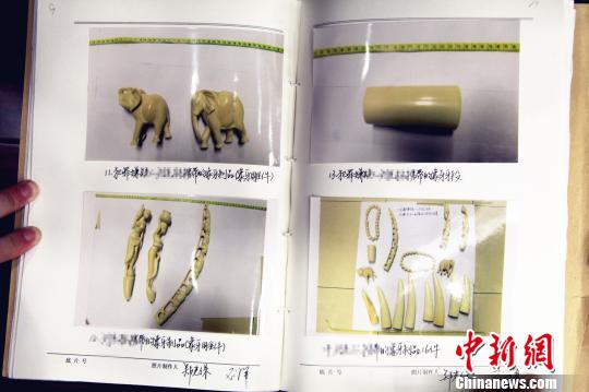 6月27日，北京市检四分院提起公诉的被告人刘某某涉嫌走私珍贵动物制品罪一案在北京市第四中级人民法院公开开庭审理。图为检方当庭展示被告人走私的象牙制品图片。　马新建　摄