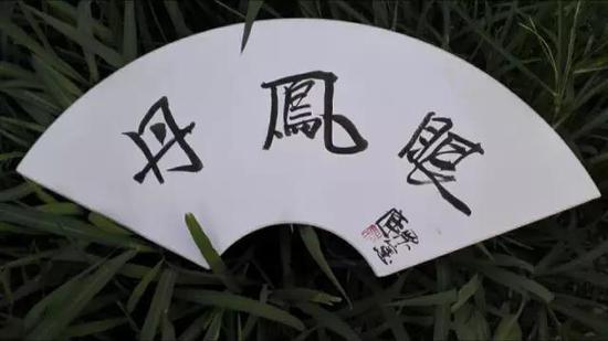 栗宪庭老师题字“丹凤眼”