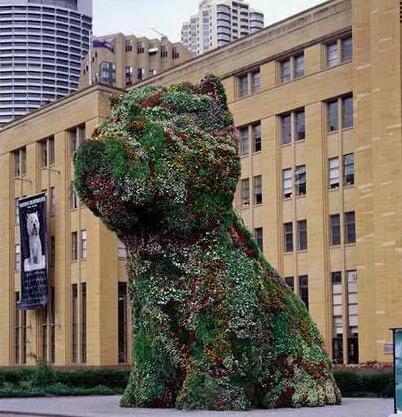 　　杰夫·昆斯(Jeff Koons)，小狗(Puppy)，1995年。摄影：布伦丹·里德(Brendan Read)。由悉尼当代艺术博物馆提供