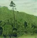 ķ羰 60x60cm 1996