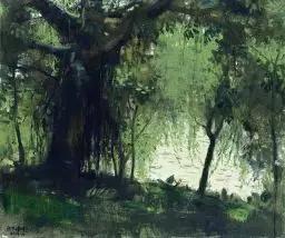  50x60cm 2009