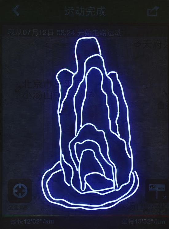 盆景no2 霓虹灯、喷绘和综合材料于帆布, 110x150cm 2014