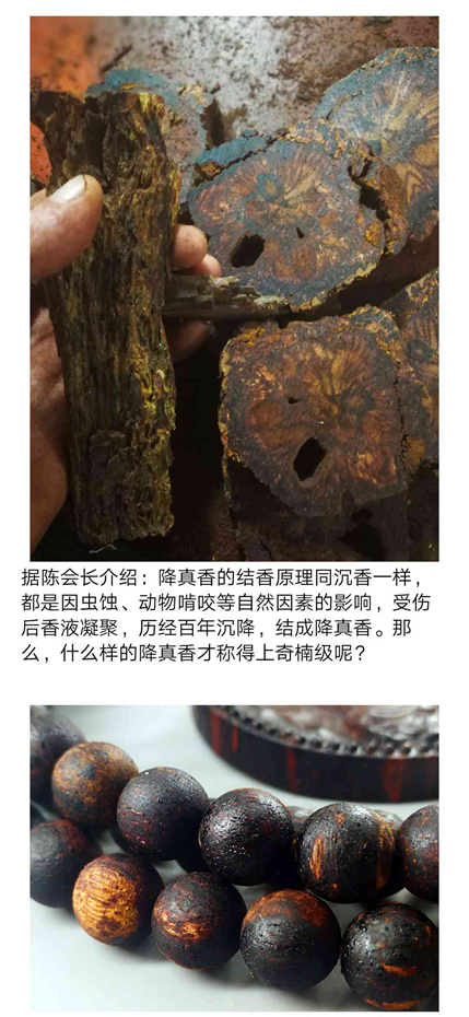 奇楠降真香部份品种欣赏 您见过几种?