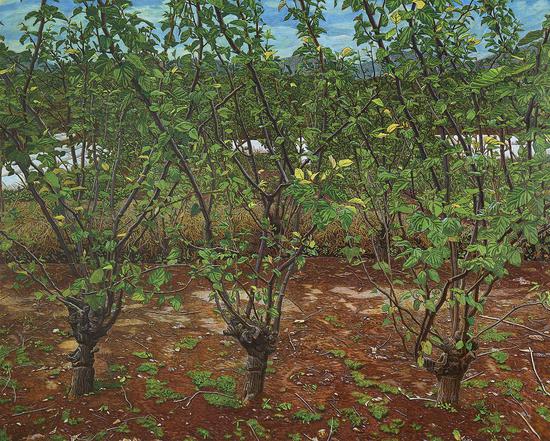 顿岙的三棵桑树 2017 布面油画 200×250cm