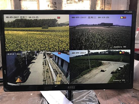 摄像监控画面,右下角马路为进入遗址的必经之路,每晚有民警蹲守