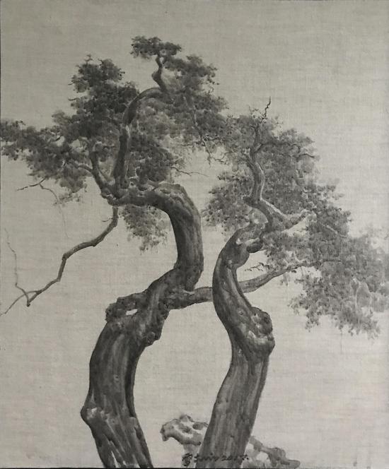 古树系列16号 综合材料+布面水墨 50×60cm 2017 翁雪松