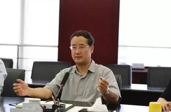 陕文投集团董事长王勇就项目方案发表意见