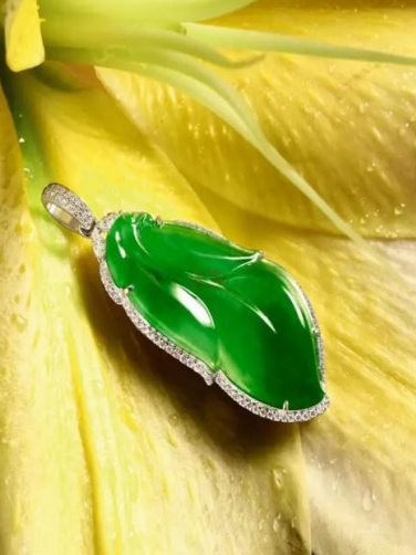18k金镶翡翠金枝玉叶项坠
尺寸:主石尺寸:3.9×1.7cm 13.8g