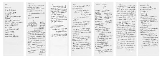 罗马湖计划 谭英杰