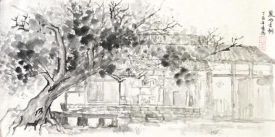 丽水古树 33×66cm