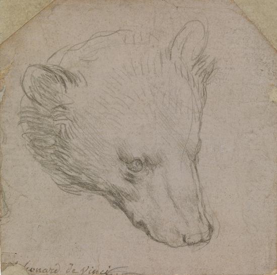 列奥纳多·达·芬奇，熊的头部，约1485，莱顿收藏