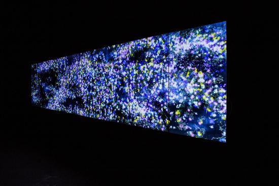 《Flowers and People   – Dark  花与人：黑暗 》by teamLab