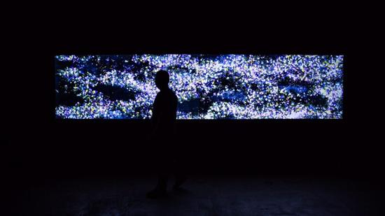 《Flowers and People   – Dark  花与人：黑暗 》by teamLab