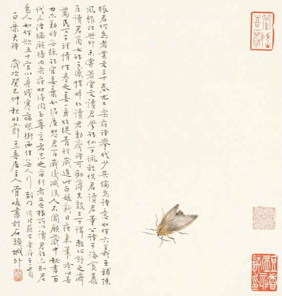 《白居易诗》40cm x 37cm  2013年