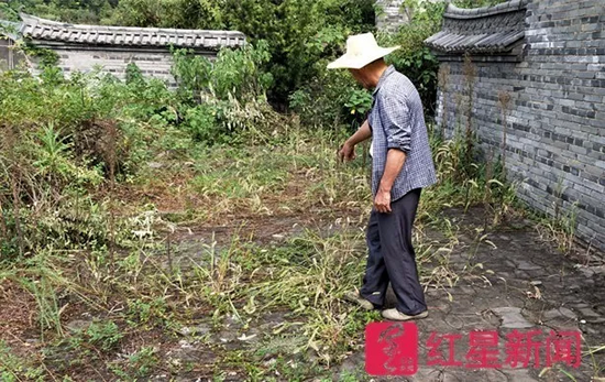 ▲郑荣良说这就是他与盗墓贼搏斗的地方。图片来源红星新闻