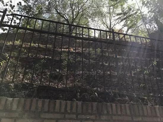 一层层碎陶片堆成小山(photo by Wu Xiaoshuang)