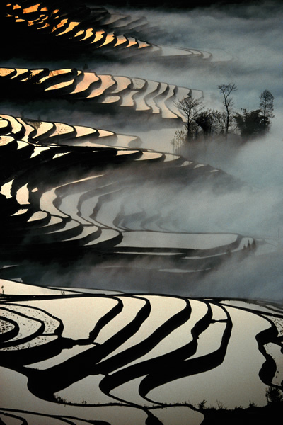 1993，云南，红河哈尼族彝族自治州，元阳县，哈尼梯田