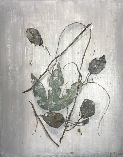 《植物研究》no.7 布面油画38×48cm 2015