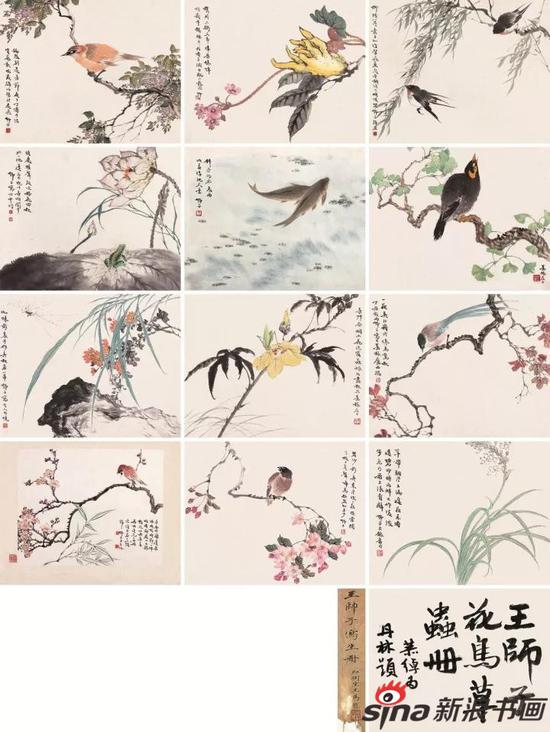 654 王师子(1885-1950) 花鸟草虫写生册 RMB 25.3万元