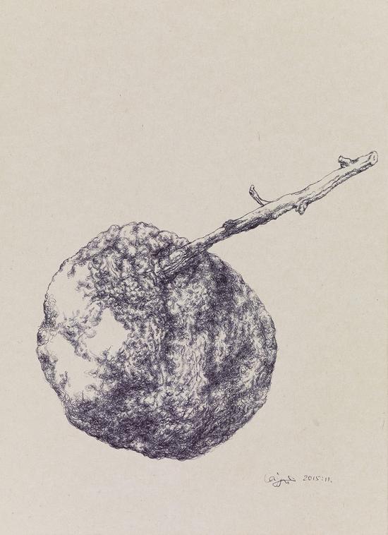 蔡锦 橘子Orange27x20.5cm纸本圆珠笔Ballpoint pen on Paper2015.11