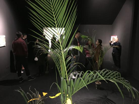 画廊实验项目空间 孑孓社策划 高夕越:打比方 |