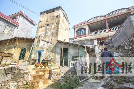 泗角村一座碉楼被人圈成鸡场，连文物公示牌也被圈了进去。记者王缉宁 摄