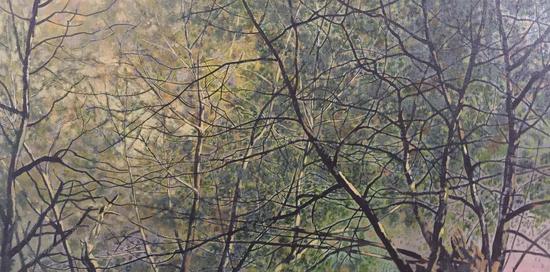 树 布面油画 45x90cm 2015