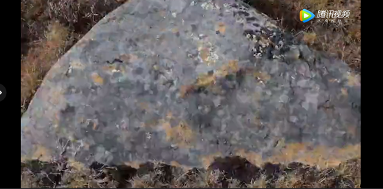 定格动画《太阳野花》片段 3分22秒 2017年