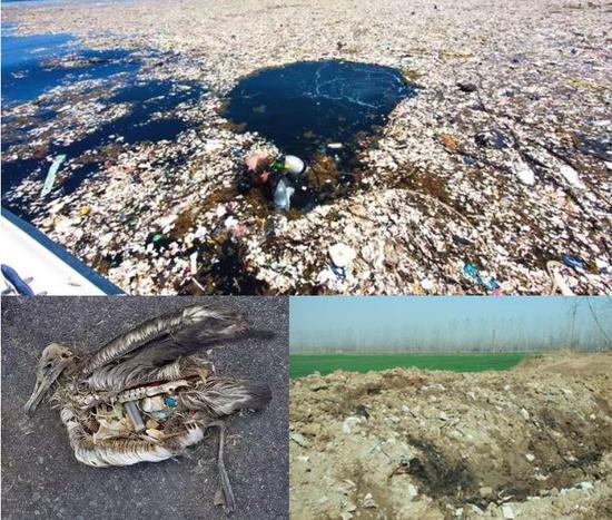 废弃材料对生态和动植物的危害与污染