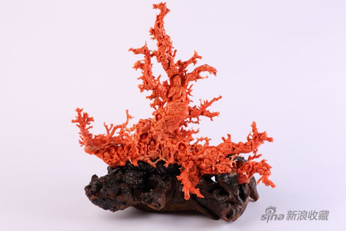 《释迦摩尼讲经图》，珊瑚，来自懿德文化