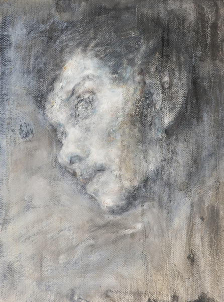 肖像No：12 布面油彩 40cmX30cm 2015 portrait NO：12 Oil on canvas 40cmX30cm 2015