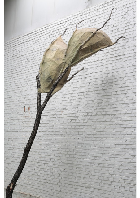 　　王光旭 Wang Guangxu_无题 1 Untitled 1_2017_树枝，荷叶，综合材料 Tree branch, lotus leaf, mixed media_490 x 150 x 120 cm