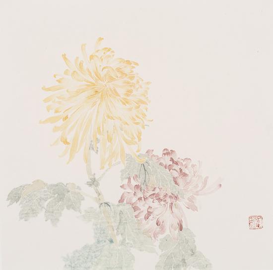 石茹，双色菊，纸本设色，33x33cm，2017