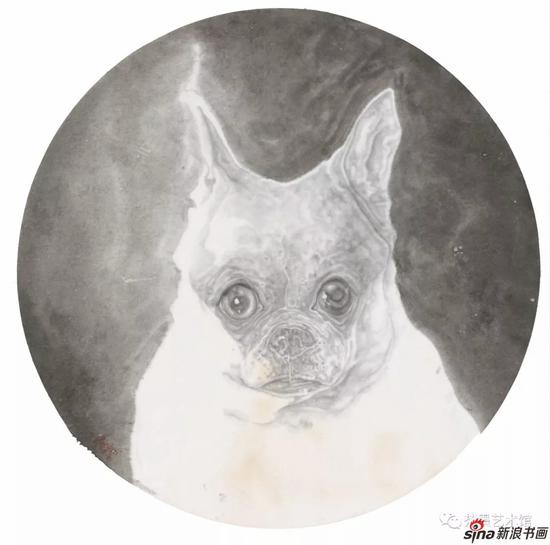 虚境