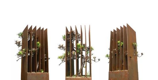 沈烈毅 《囿 Ⅱ》 树木、铁，60×30×30 cm，2011